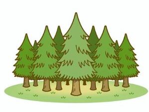 「あなたの土地、知らない間に使われていませんか？ 〜山林・原野の無断占有トラブル事例集〜」