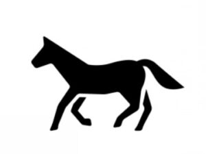 午年に考える「住まい」と「これから」の話