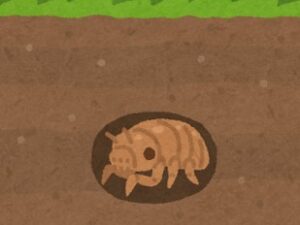 がんばったね